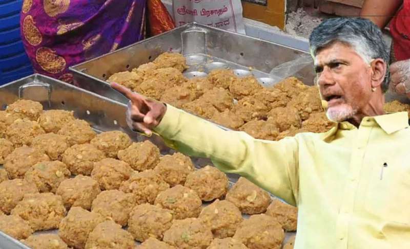 प्रसाद में चर्बी मिलने का मामला:  किसी भी दोषी को बख्शा नहीं जाएगा: नायडू