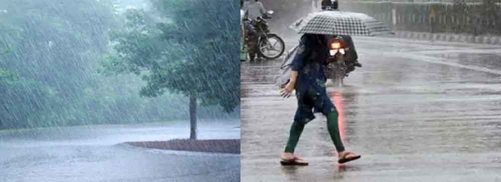 छत्तीसगढ़ में अब तक 948.0 मि.मी. औसत वर्षा दर्ज, बीजापुर जिले में सर्वाधिक बारिश छत्तीसगढ़ में अब तक 948.0 मि.मी. औसत वर्षा दर्ज, बीजापुर जिले में सर्वाधिक बारिश