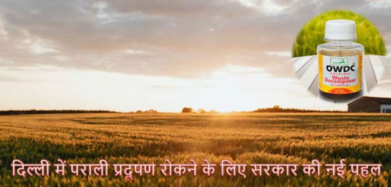 सर्दियों में प्रदूषण रोकने के लिए सरकार का बड़ा फैसला, मुफ्त बायो डि-कंपोजर का छिड़काव