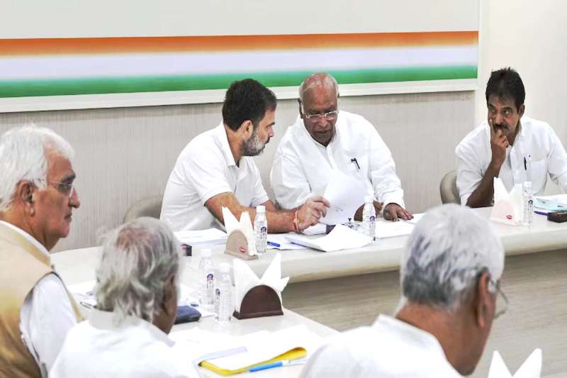 हरियाणा कांग्रेस ने 31 जनवरी के लिए जारी की पहली सूची, विनेश फोगाट यहां से लड़ेंगी चुनाव हरियाणा कांग्रेस ने 31 जनवरी के लिए जारी की पहली सूची, विनेश फोगाट यहां से लड़ेंगी चुनाव