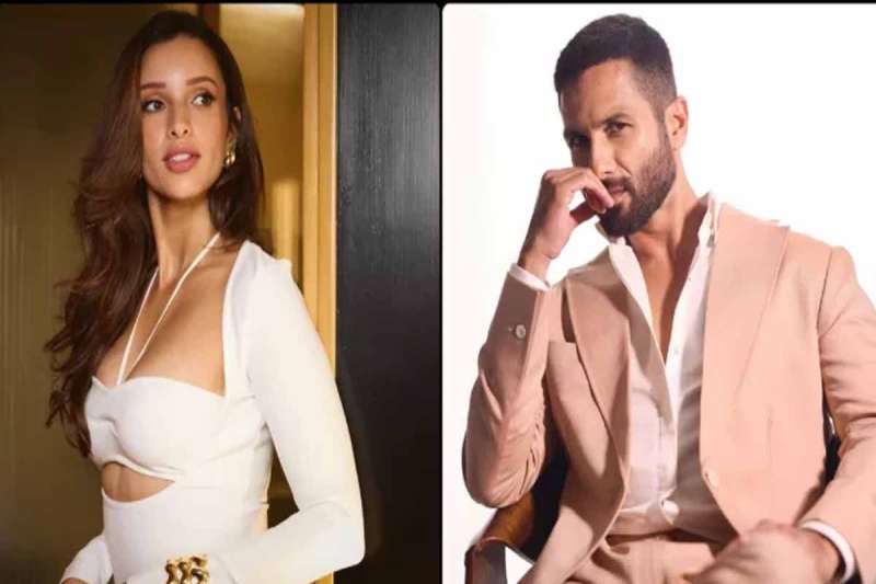 शाहिद कपूर और त्रिप्ती डिमरी की जोड़ी: विशाल भारद्वाज की नई फिल्म की घोषणा शाहिद कपूर और त्रिप्ती डिमरी की जोड़ी: विशाल भारद्वाज की नई फिल्म की घोषणा