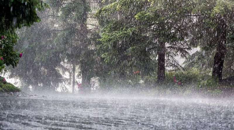 बिहार के 14 जिलों में भारी बारिश का खतरा, लोगों को सतर्क रहने की सलाह
