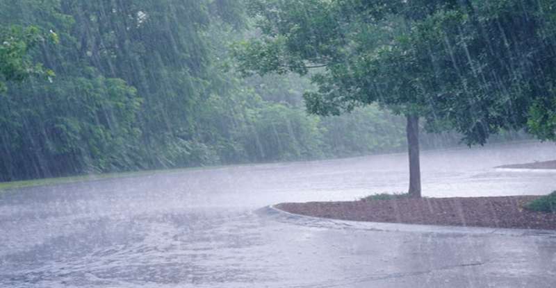 बिहार में 5 दिनों तक बारिश की उम्मीद नहीं, उमस भरी गर्मी से परेशान होंगे लोग