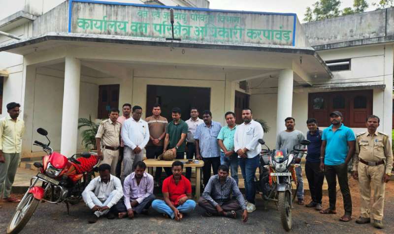  वन विभाग की बडी कार्यवाही; पेंगोलिन की तस्करी करते पकड़े गये चार अन्तर्राज्यीय तस्कर