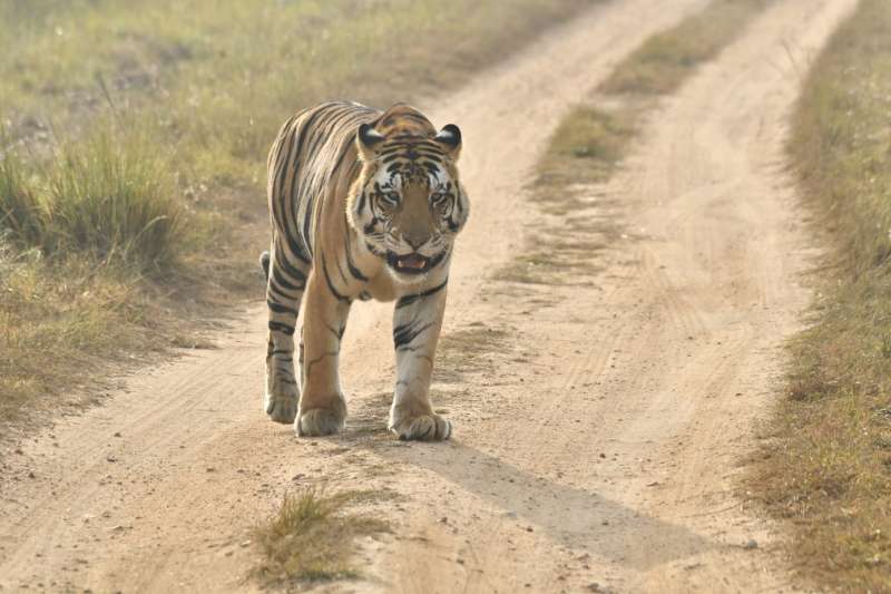 “बाघ चौपाल” के माध्यम से ग्रामीणों को किया जा रहा है जागरूक