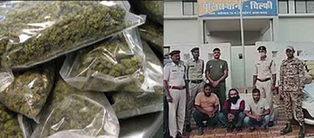 छत्तीसगढ़-कबीरधाम में पुलिस ने तीन तस्करों को किया गिरफ्तार, 28 किलो गांजा बरामद छत्तीसगढ़-कबीरधाम में पुलिस ने तीन तस्करों को किया गिरफ्तार, 28 किलो गांजा बरामद