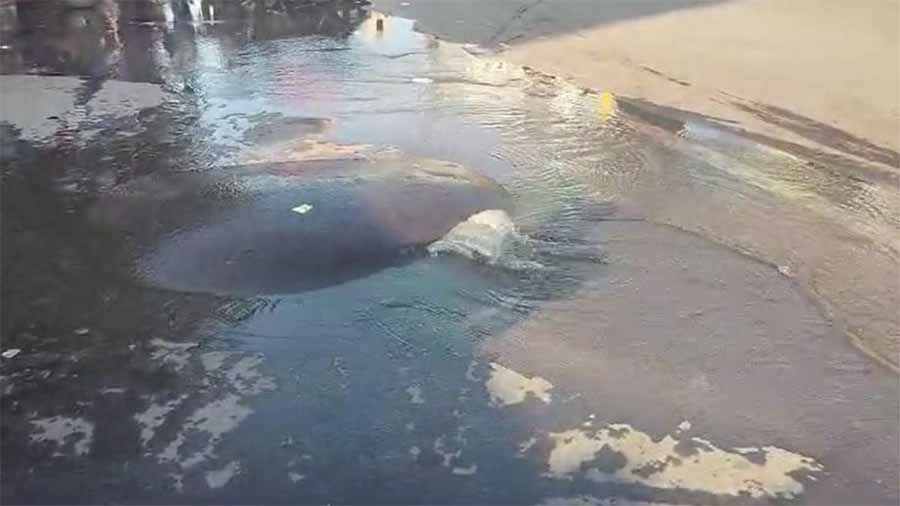 रायपुर के फाफाडीह चौक में अचानक फूट गई पाइप लाइन, हजारों लीटर पानी बर्बाद रायपुर के फाफाडीह चौक में अचानक फूट गई पाइप लाइन, हजारों लीटर पानी बर्बाद