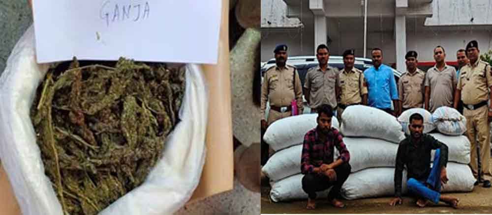 छत्तीसगढ़-बिलासपुर में दो तस्कर गिरफ्तार, बड़ी मात्रा में गांजा बरामद छत्तीसगढ़-बिलासपुर में दो तस्कर गिरफ्तार, बड़ी मात्रा में गांजा बरामद