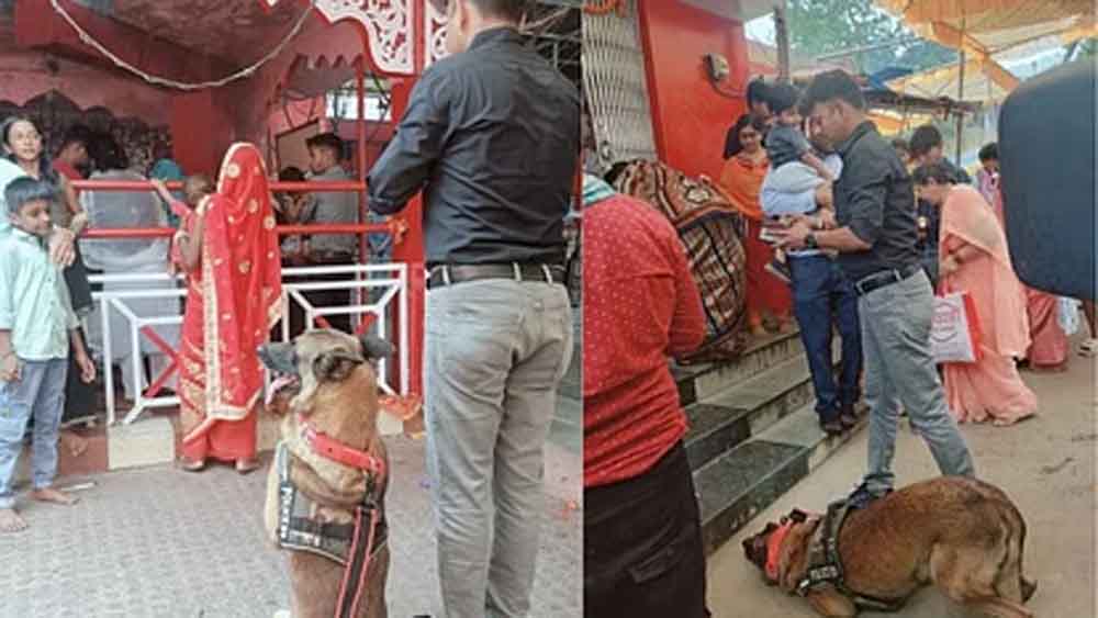 छत्तीसगढ़-कोरबा में ट्रैकर डॉग बाघा पहुंचा माता के दरबार, मत्था टेककर लिया मां से आशीर्वाद छत्तीसगढ़-कोरबा में ट्रैकर डॉग बाघा पहुंचा माता के दरबार, मत्था टेककर लिया मां से आशीर्वाद
