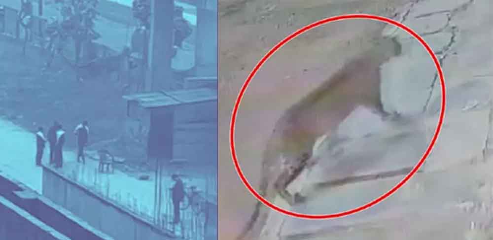 छत्तीसगढ़-गरियाबंद में तेंदुआ दिखने से फैली दहशत, वन विभाग ने किया अलर्ट छत्तीसगढ़-गरियाबंद में तेंदुआ दिखने से फैली दहशत, वन विभाग ने किया अलर्ट