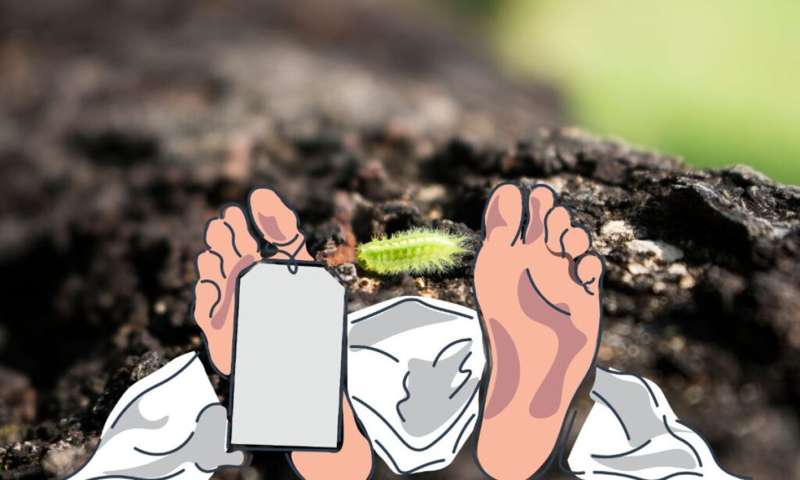 परिवार के साथ सो रहे अधेड़ को जहरीले कीडे ने काटा, हुई मौत