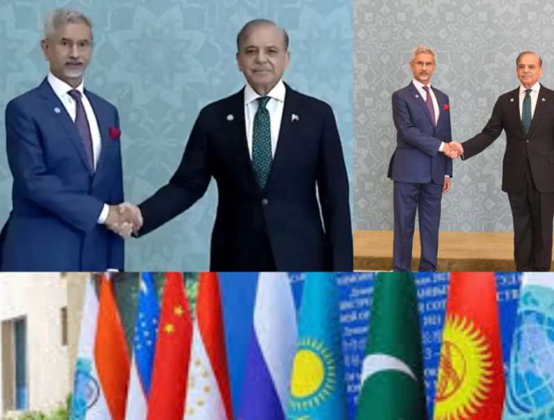 एससीओ बैठक से पहले जयशंकर और शरीफ गर्मजोशी ने मिले, बातचीत भी की एससीओ बैठक से पहले जयशंकर और शरीफ गर्मजोशी ने मिले, बातचीत भी की