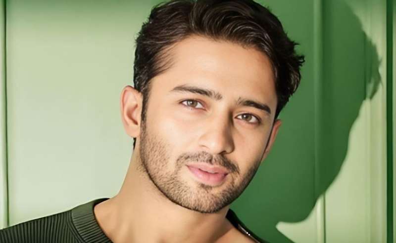 बड़ी स्क्रीन पर Shaheer Sheikh की एंट्री, देरी से डेब्यू की बताई खास वजह