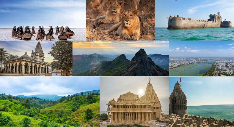 लाखों पर्यटकों की पहली पसंद बने गुजरात के ऐतिहासिक धरोहर स्थल लाखों पर्यटकों की पहली पसंद बने गुजरात के ऐतिहासिक धरोहर स्थल