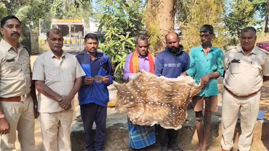 महासमुंद में चीतल और तेंदुए की खाल की तस्करी करने वाले 5 आरोपी रंगे हाथ धाराएं महासमुंद में चीतल और तेंदुए की खाल की तस्करी करने वाले 5 आरोपी रंगे हाथ धाराएं