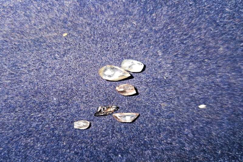 भाई बहन की चमकी किस्मत: खदान से मिला हीरो का उपहार, दिसंबर में होगी नीलामी भाई बहन की चमकी किस्मत: खदान से मिला हीरो का उपहार, दिसंबर में होगी नीलामी