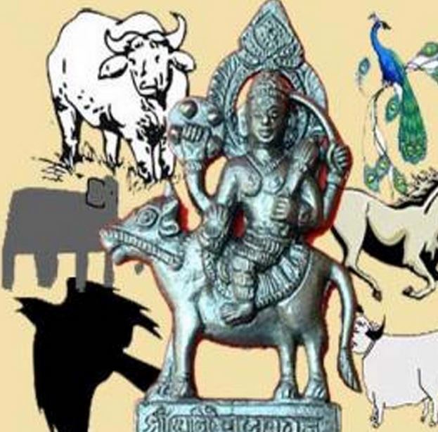 शनिदेव के हैं नौ वाहन शनिदेव के हैं नौ वाहन