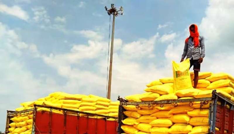 सरकारी दावों के बावजूद गेहूं-सरसों की बुवाई के वक्त खाद की कमी से जूझ रहे हैं किसान…