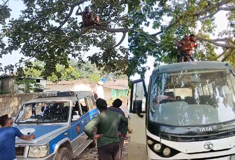 छत्तीसगढ़-रायगढ़ में मायके गई पत्नी तो फांसी लगाने पेड़ पर चढ़ा पति, बस लाकर पुलिस ने एक घंटे बाद नीचे उतारा छत्तीसगढ़-रायगढ़ में मायके गई पत्नी तो फांसी लगाने पेड़ पर चढ़ा पति, बस लाकर पुलिस ने एक घंटे बाद नीचे उतारा