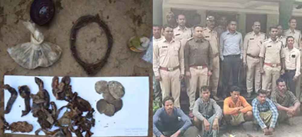 छत्तीसगढ़-बलौदाबाजार में जंगली जानवरों के पांच शिकारी गिरफ्तार, पुलिस गश्त के दौरान की कार्रवाई छत्तीसगढ़-बलौदाबाजार में जंगली जानवरों के पांच शिकारी गिरफ्तार, पुलिस गश्त के दौरान की कार्रवाई