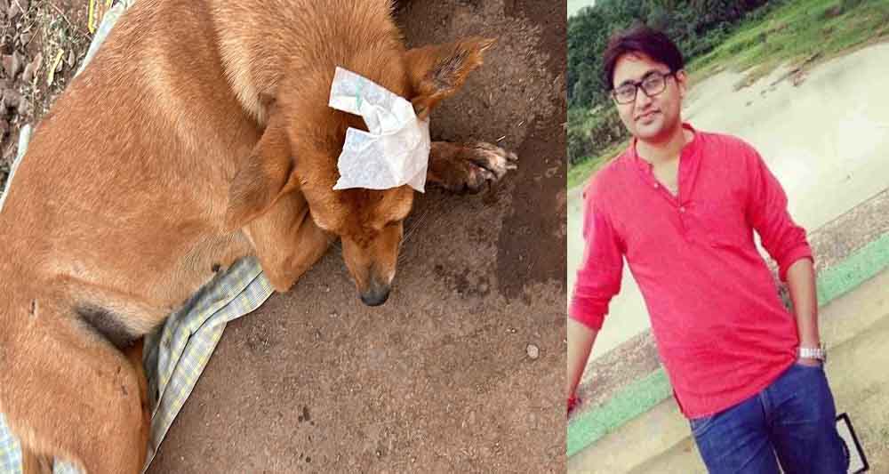 छत्तीसगढ़-भिलाई में डॉग पर कार चढ़ाने वाला आरोपी बैंक मैनेजर गिरफ्तार, XUV कार जब्त छत्तीसगढ़-भिलाई में डॉग पर कार चढ़ाने वाला आरोपी बैंक मैनेजर गिरफ्तार, XUV कार जब्त