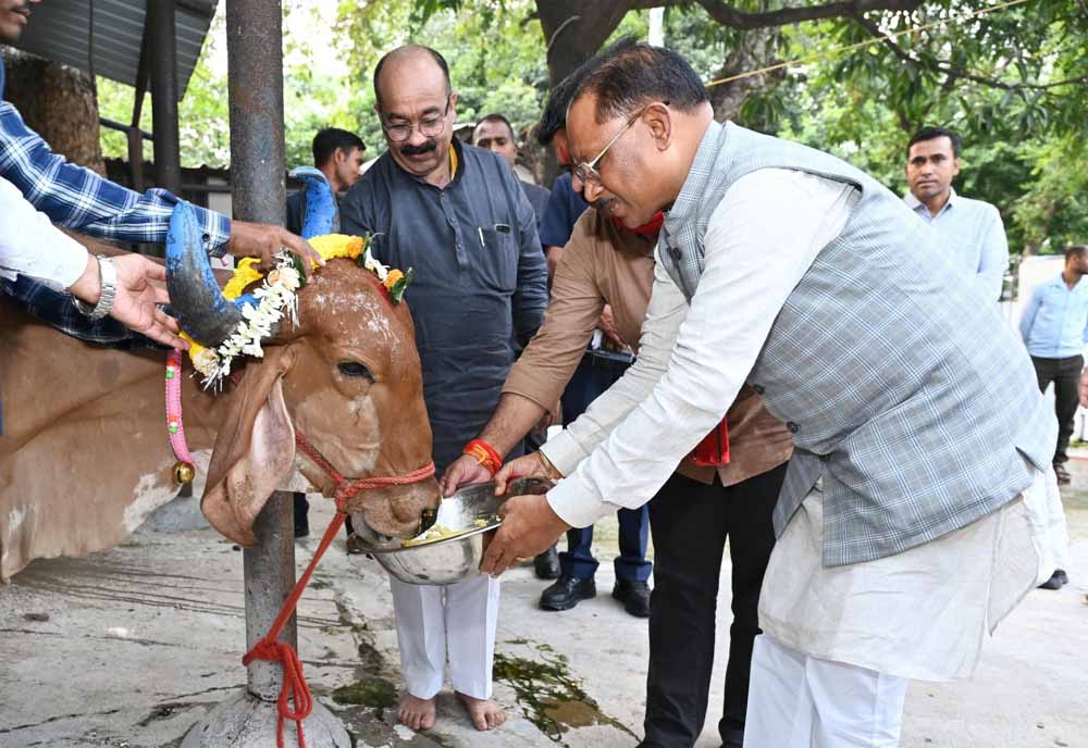 मुख्यमंत्री विष्णु देव साय ने गोवर्धन पूजा के अवसर पर की गौ वंश की पूजा-अर्चना