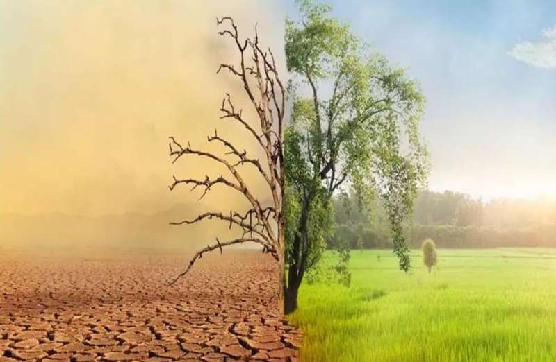 देश में जलवायु परिवर्तन का बढ़ा असर, 3,000 से ज्यादा मौतें और 2 लाख से अधिक घरों का नुकसान देश में जलवायु परिवर्तन का बढ़ा असर, 3,000 से ज्यादा मौतें और 2 लाख से अधिक घरों का नुकसान