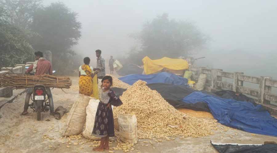 गरियाबंद में 2 करोड़ की लागत से बने पुल पर फसल सुखाने और मिंजाई का हो रहस्य काम