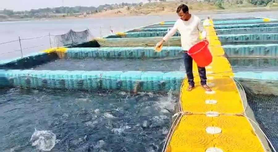 फिशरी साइंस के छात्र रहे गंगाधर मछली पालन से बने लखपति, प्रधानमंत्री मत्स्य सम्पदा योजना का लाभ लेकर शुरू किया मत्स्य पालन