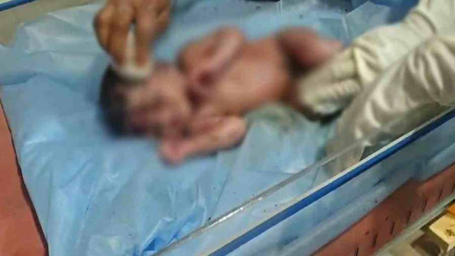 सरगुजा में खेत में मिला जिंदा नवजात, दफन करने की कोशिश सरगुजा में खेत में मिला जिंदा नवजात, दफन करने की कोशिश