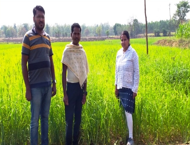 आत्मा योजना : उन्नत कृषि तकनीक को अपनाकर चौतू नेताम बना सफल कृषक आत्मा योजना : उन्नत कृषि तकनीक को अपनाकर चौतू नेताम बना सफल कृषक