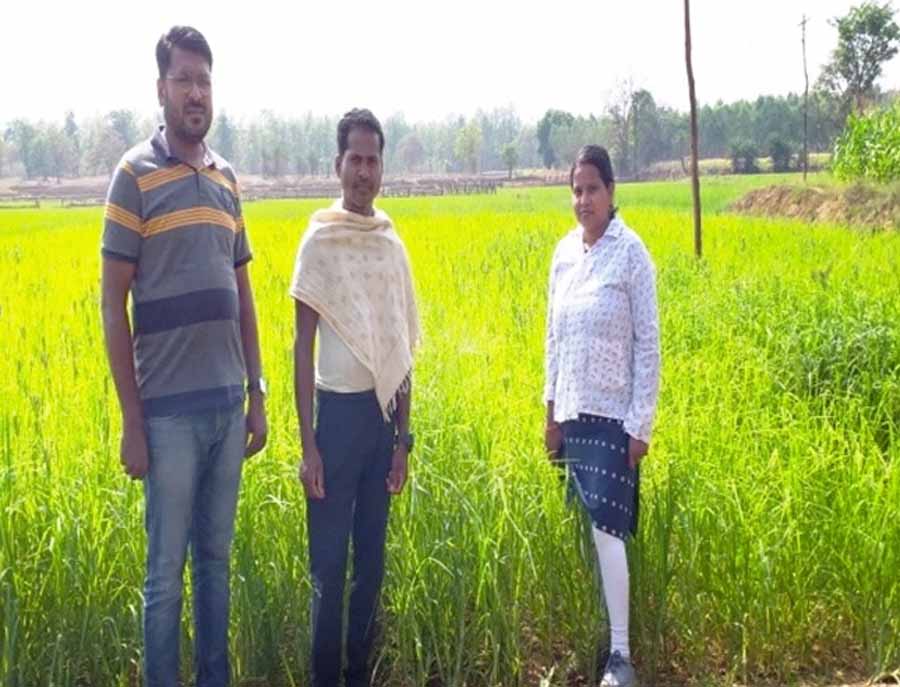 उन्नत कृषि तकनीक को अपनाकर चौतू नेताम बना सफल कृषक उन्नत कृषि तकनीक को अपनाकर चौतू नेताम बना सफल कृषक