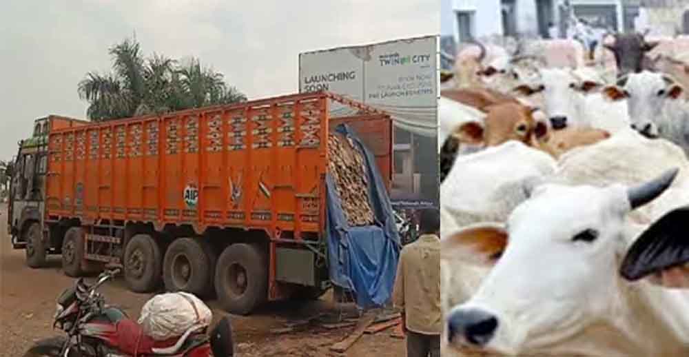 छत्तीसगढ़-दुर्ग में गाय की खाल से भरा ट्रक पकड़ाया, ड्राइवर सहित दो हिरासत में छत्तीसगढ़-दुर्ग में गाय की खाल से भरा ट्रक पकड़ाया, ड्राइवर सहित दो हिरासत में