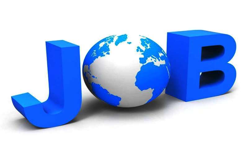 जनपद पंचायत में विभिन्न पदों पर निकली भर्ती, युवाओं के लिए बढ़िया मौका जनपद पंचायत में विभिन्न पदों पर निकली भर्ती, युवाओं के लिए बढ़िया मौका