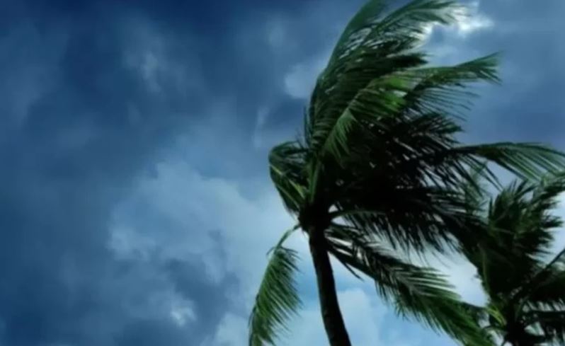 फेंगल तूफान के कारण महाराष्ट्र में बारिश की संभावना, 6 जिलों में IMD ने जारी किया येलो अलर्ट