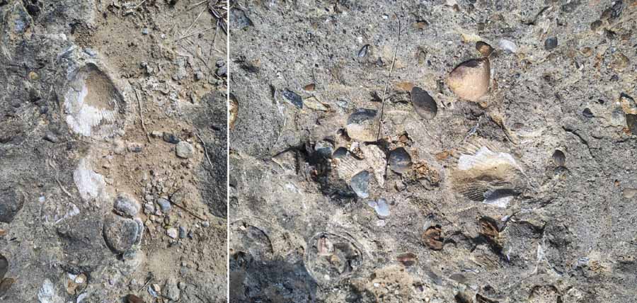 मनेंद्रगढ़ में बनेगा इतिहास और पुरातत्व में रुचि रखने वालों के लिए आकर्षण का केन्द्र मनेंद्रगढ़ में बनेगा इतिहास और पुरातत्व में रुचि रखने वालों के लिए आकर्षण का केन्द्र