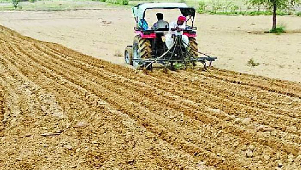 छत्तीसगढ़ में 17.46 लाख हेक्टेयर में रबी फसलों की बोनी