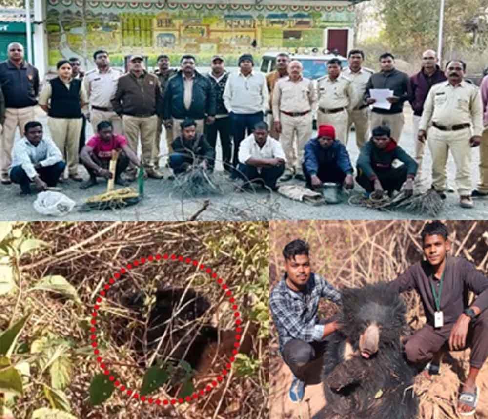 छत्तीसगढ़-मरवाही में जाल में फंसकर मादा भालू की मौत, वन अमले ने शावक का रेस्क्यू कर 4 शिकारियों को किया गिरफ्तार छत्तीसगढ़-मरवाही में जाल में फंसकर मादा भालू की मौत, वन अमले ने शावक का रेस्क्यू कर 4 शिकारियों को किया गिरफ्तार
