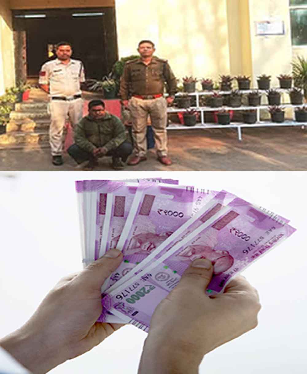 छत्तीसगढ़-रायगढ़ में लोन के बहाने ग्रामीणों से लाखों रुपये ठगे, SBI का फर्जी बैंक कर्मी गिरफ्तार छत्तीसगढ़-रायगढ़ में लोन के बहाने ग्रामीणों से लाखों रुपये ठगे, SBI का फर्जी बैंक कर्मी गिरफ्तार