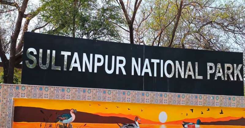 गुरुग्राम के सुल्तानपुर झील में अवैध निर्माणों पर कार्रवाई, वन्य जीव विभाग ने जारी किया नोटिस गुरुग्राम के सुल्तानपुर झील में अवैध निर्माणों पर कार्रवाई, वन्य जीव विभाग ने जारी किया नोटिस