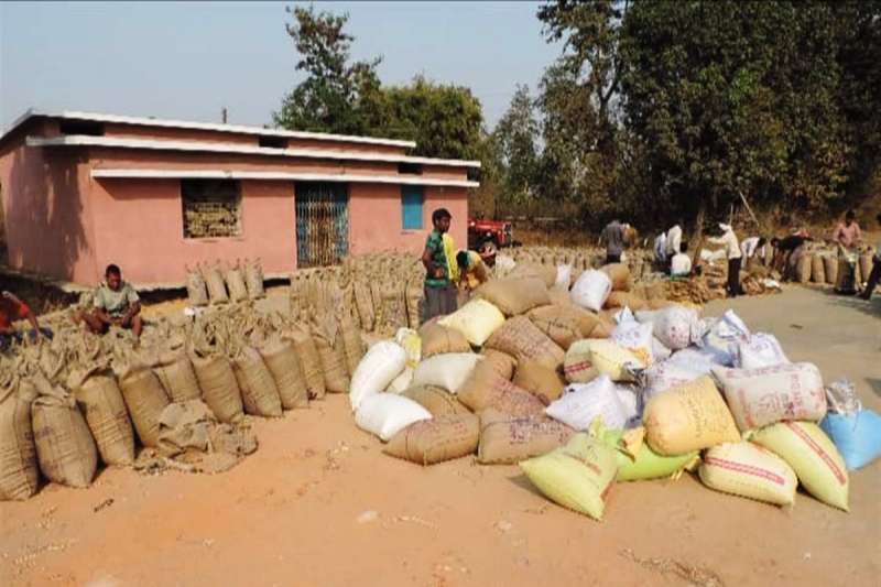 अब तक 97.60 लाख मीट्रिक टन हुई धान खरीदी अब तक 97.60 लाख मीट्रिक टन हुई धान खरीदी