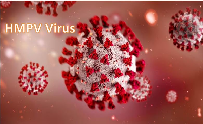 भारत में मिला HMPV वायरस का पहला केस, 8 महीने के बच्चे में दिखे लक्षण भारत में मिला HMPV वायरस का पहला केस, 8 महीने के बच्चे में दिखे लक्षण