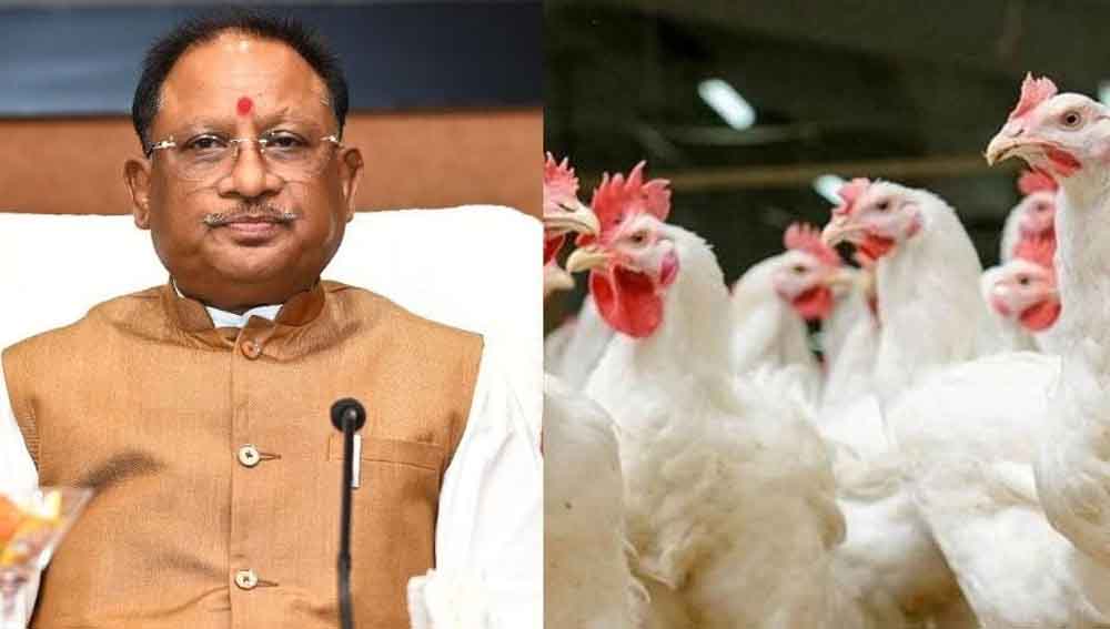 छत्तीसगढ़-रायगढ़ में मिला बर्ड फ्लू का केस, सीएम साय ने रोकथाम के दिए दिशा निर्देश छत्तीसगढ़-रायगढ़ में मिला बर्ड फ्लू का केस, सीएम साय ने रोकथाम के दिए दिशा निर्देश