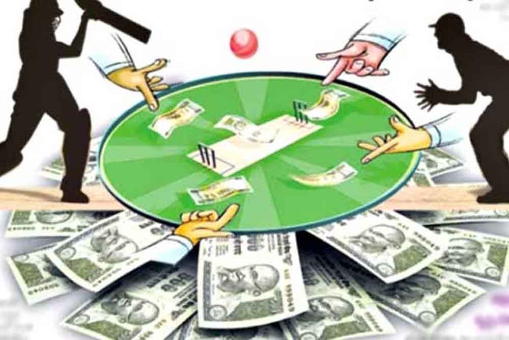 IPL 2025: बिलासपुर की हर गलियों में सटोरिए सक्रिय, क्रिकेट पर लगा रहे दांव