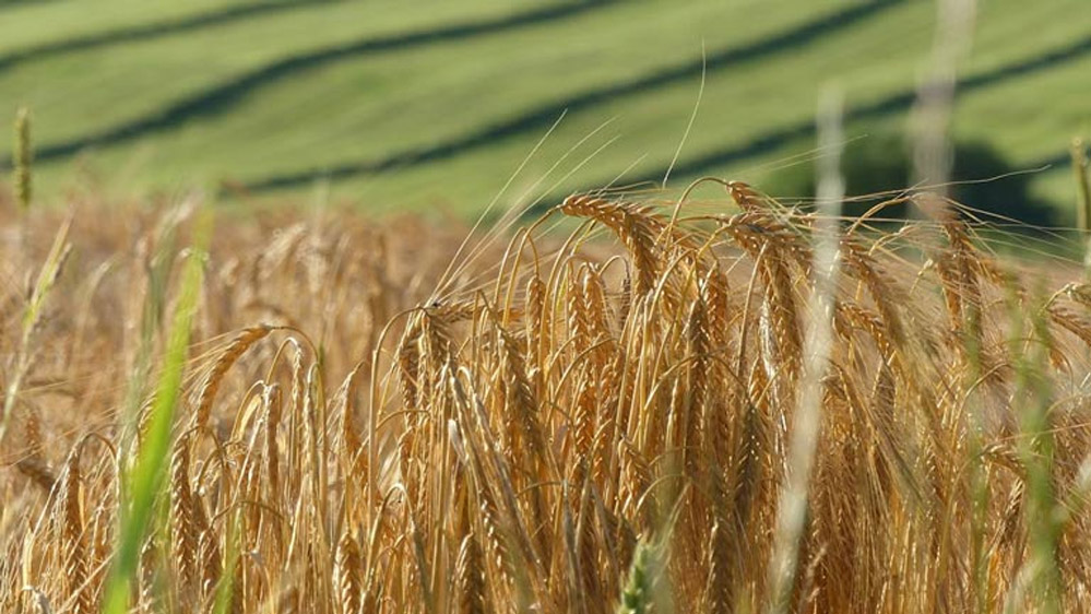 31 मार्च तक छूटे हुए सभी किसानों का अनिवार्य रूप से पंजीयन कराने दिए निर्देश 31 मार्च तक छूटे हुए सभी किसानों का अनिवार्य रूप से पंजीयन कराने दिए निर्देश