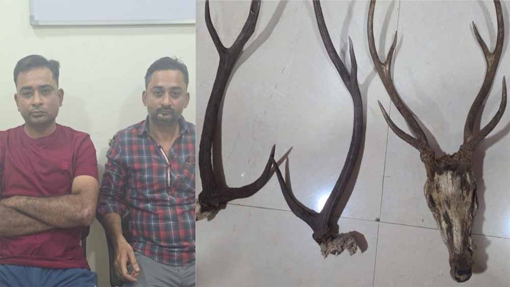 हिरण के सींग के साथ 2 शिकारी गिरफ्तार