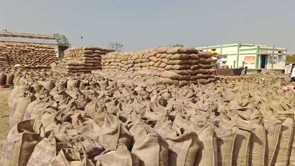 कबीरधाम में 3 करोड़ 36 लाख का धान गायब, खरीदी प्रभारियों को नोटिस