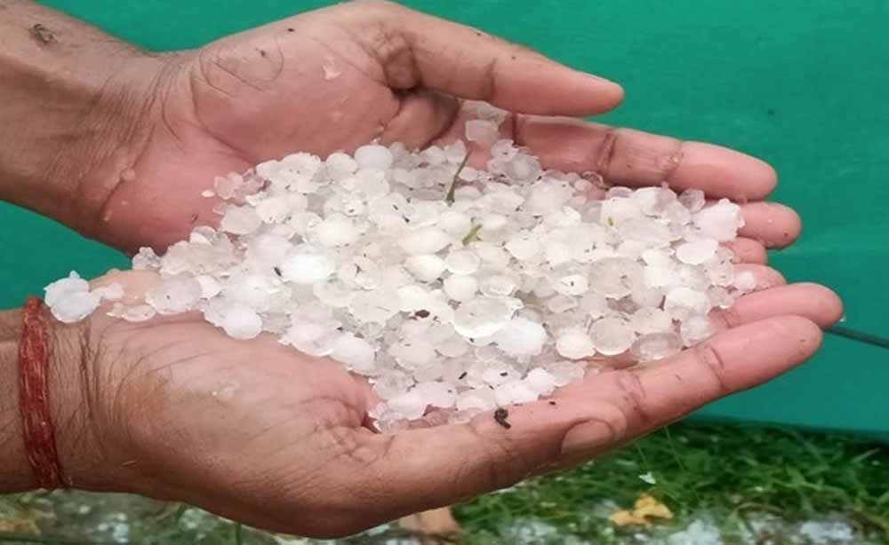 कोंडागांव में जमकर गिरे ओले
