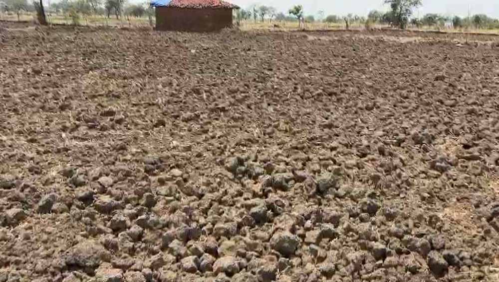 नहर निर्माण के लिए करोड़ों रुपए स्वीकृत पर काम अधूरा, बूंद-बूंद पानी को तरस रहे किसान नहर निर्माण के लिए करोड़ों रुपए स्वीकृत पर काम अधूरा, बूंद-बूंद पानी को तरस रहे किसान