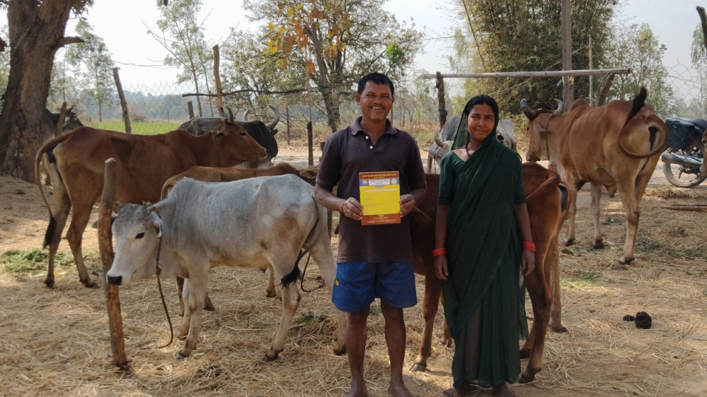 रायपुर : राज्य शासन के सहयोग से गौ पालक राजाराम का जीवन हुआ खुशहाल